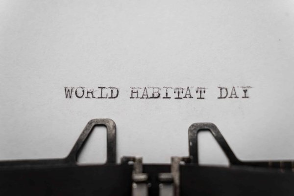 What Are the Essential Components of a Habitat for Pet Snakes to Ensure Their Well-being?